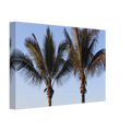 05ebcf11-15b8-4917-98b8-78941020259a