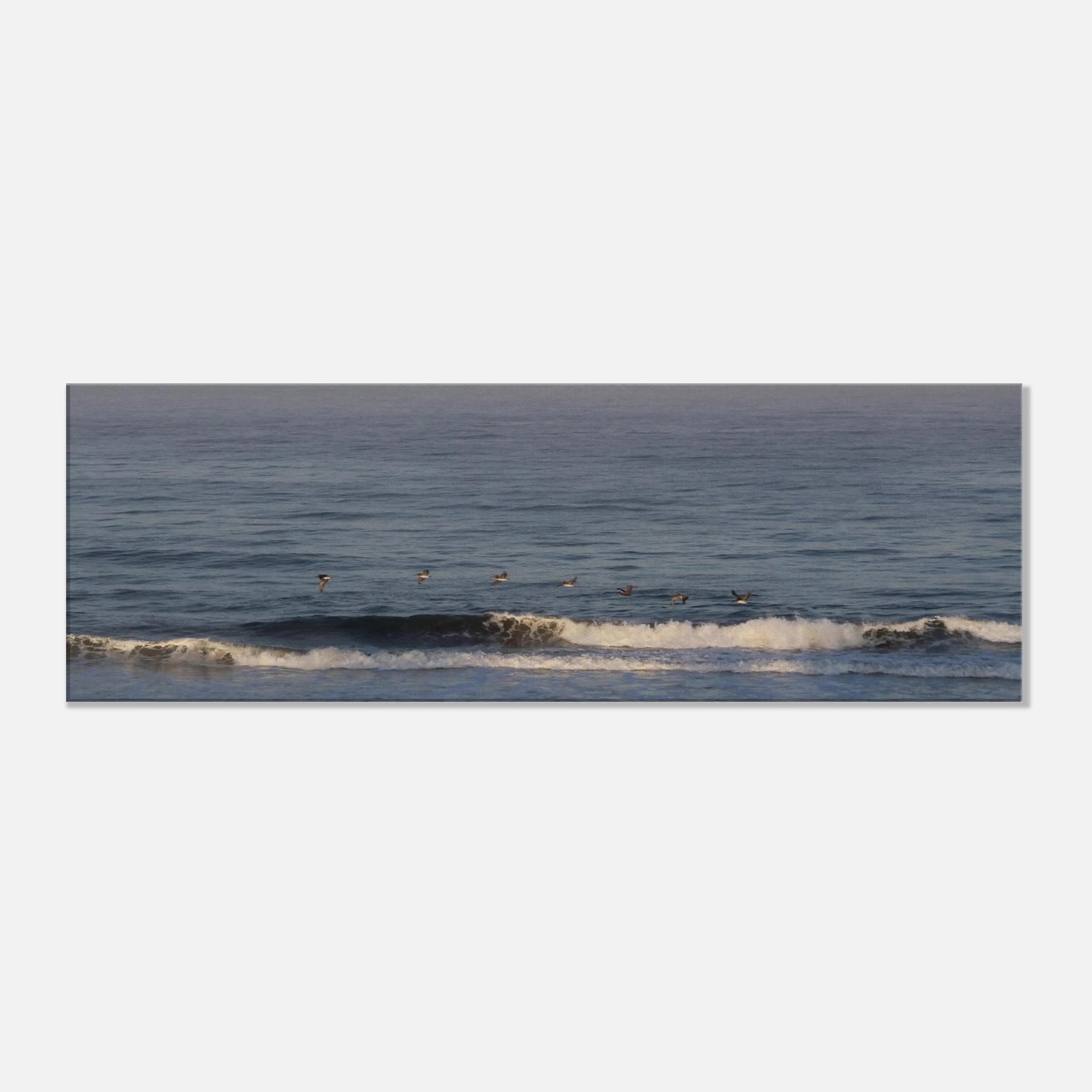 2ae4bc91-402f-4763-85b5-43e1aa0309eb