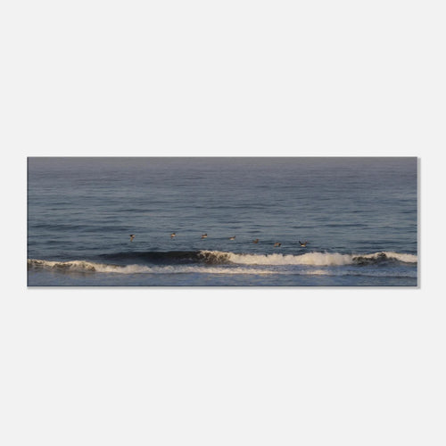 2ae4bc91-402f-4763-85b5-43e1aa0309eb