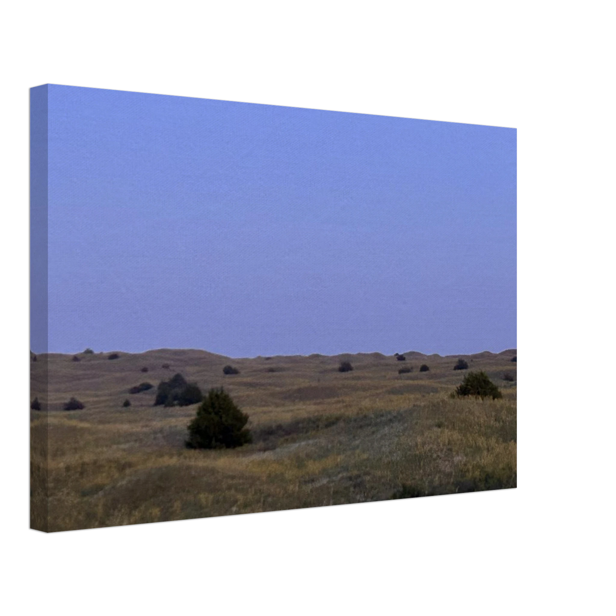 2f67df4d-c425-4009-8c59-1b7521cbe849