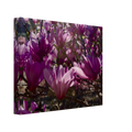 54306c20-a8c1-4daa-97a7-6bd5210196a4