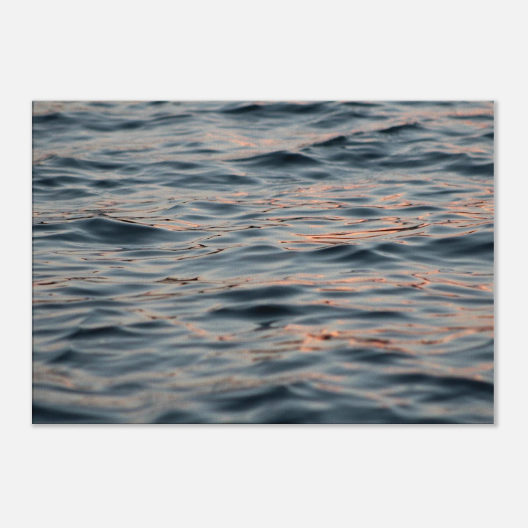 555dd813-9b48-48fd-94e2-52cf95f9a024