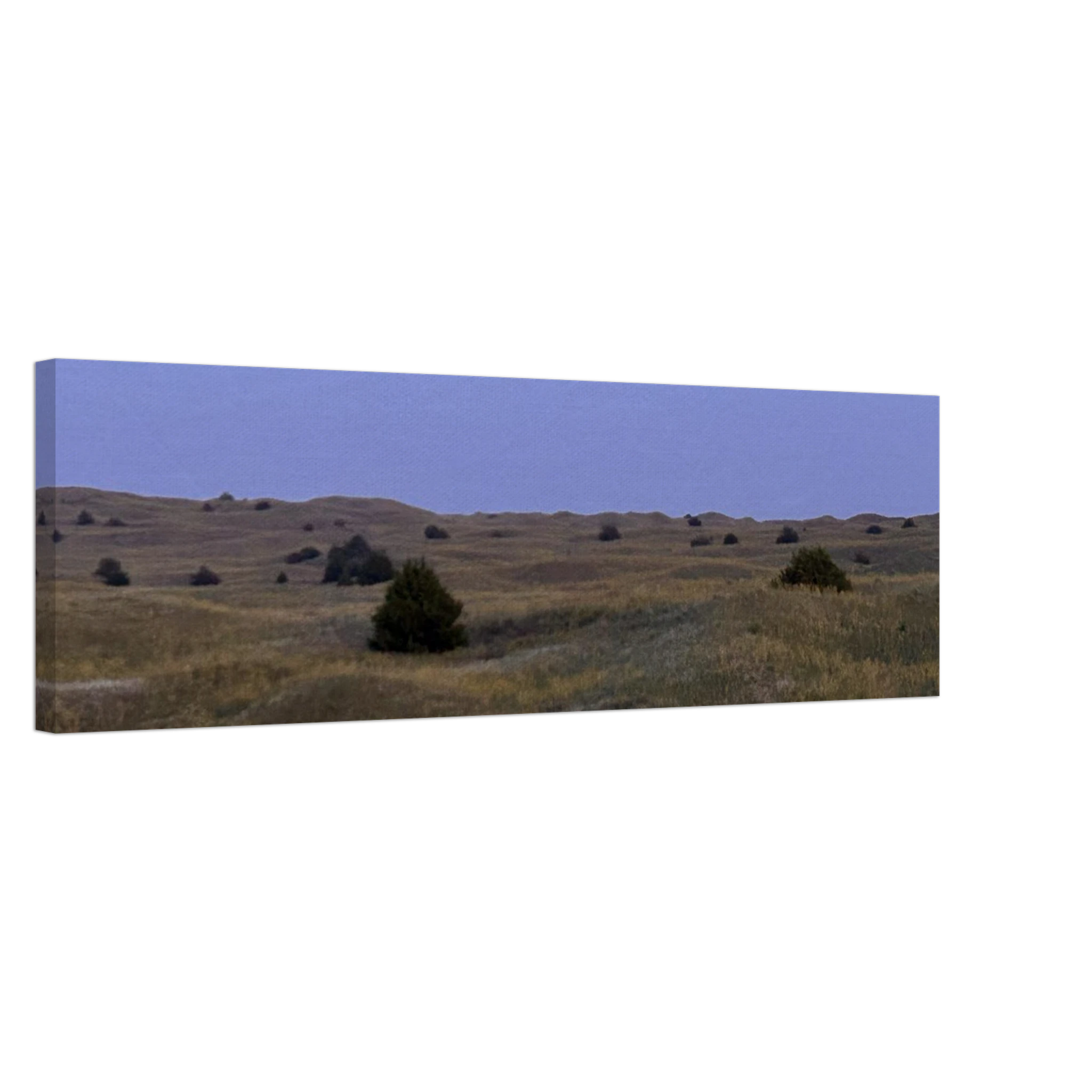 7a2b6cd4-c4de-4f49-9565-b0ed43c6ed86
