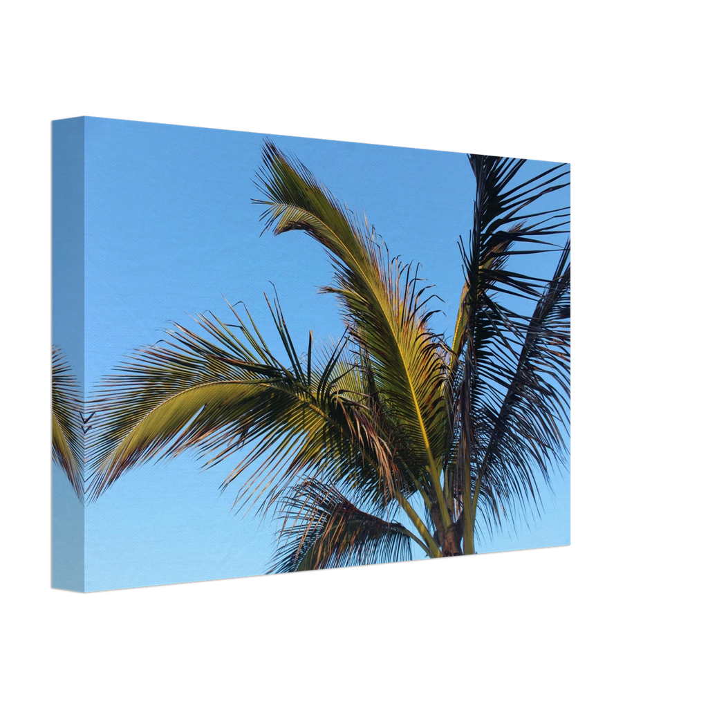 86c7ce2b-d8dc-4fe2-9eaf-186479e70ed5