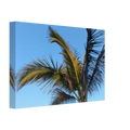 86c7ce2b-d8dc-4fe2-9eaf-186479e70ed5