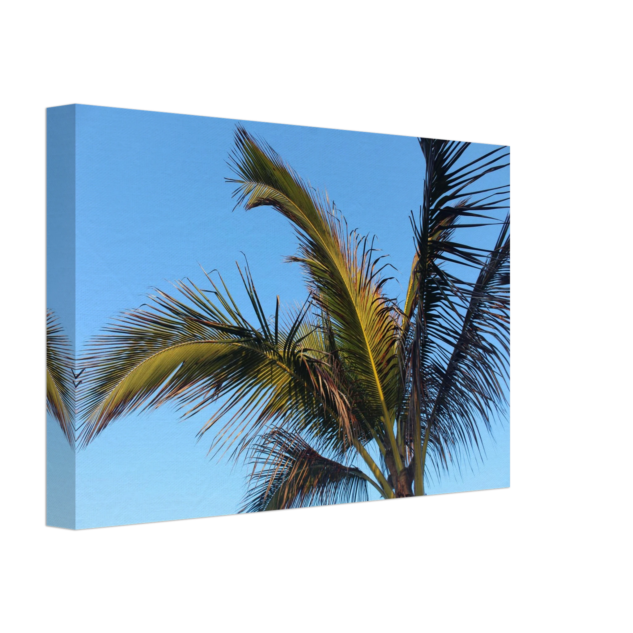 86c7ce2b-d8dc-4fe2-9eaf-186479e70ed5