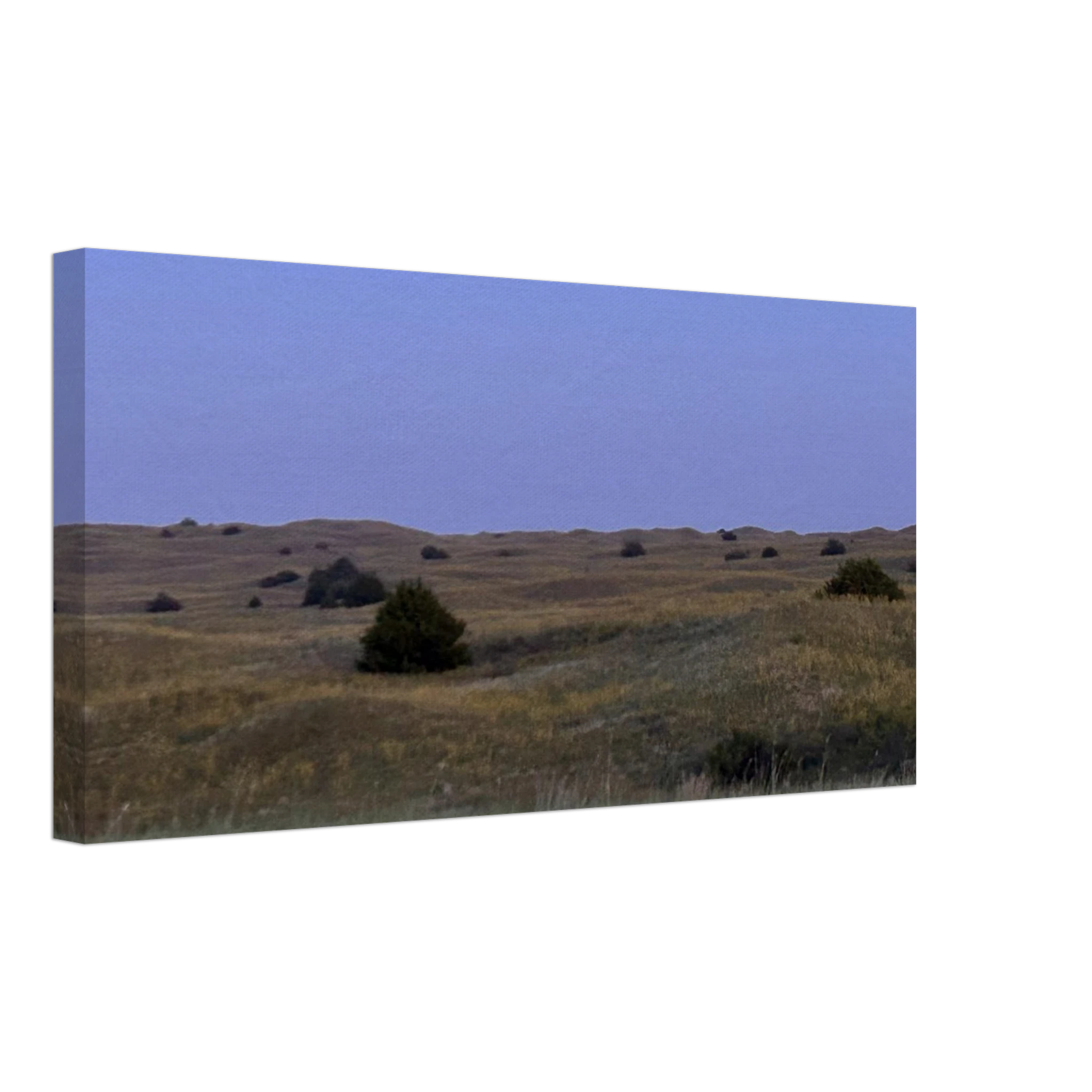 8f6fc51f-3762-464d-9561-63c0acc65615