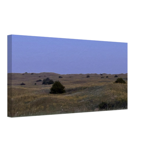 8f6fc51f-3762-464d-9561-63c0acc65615