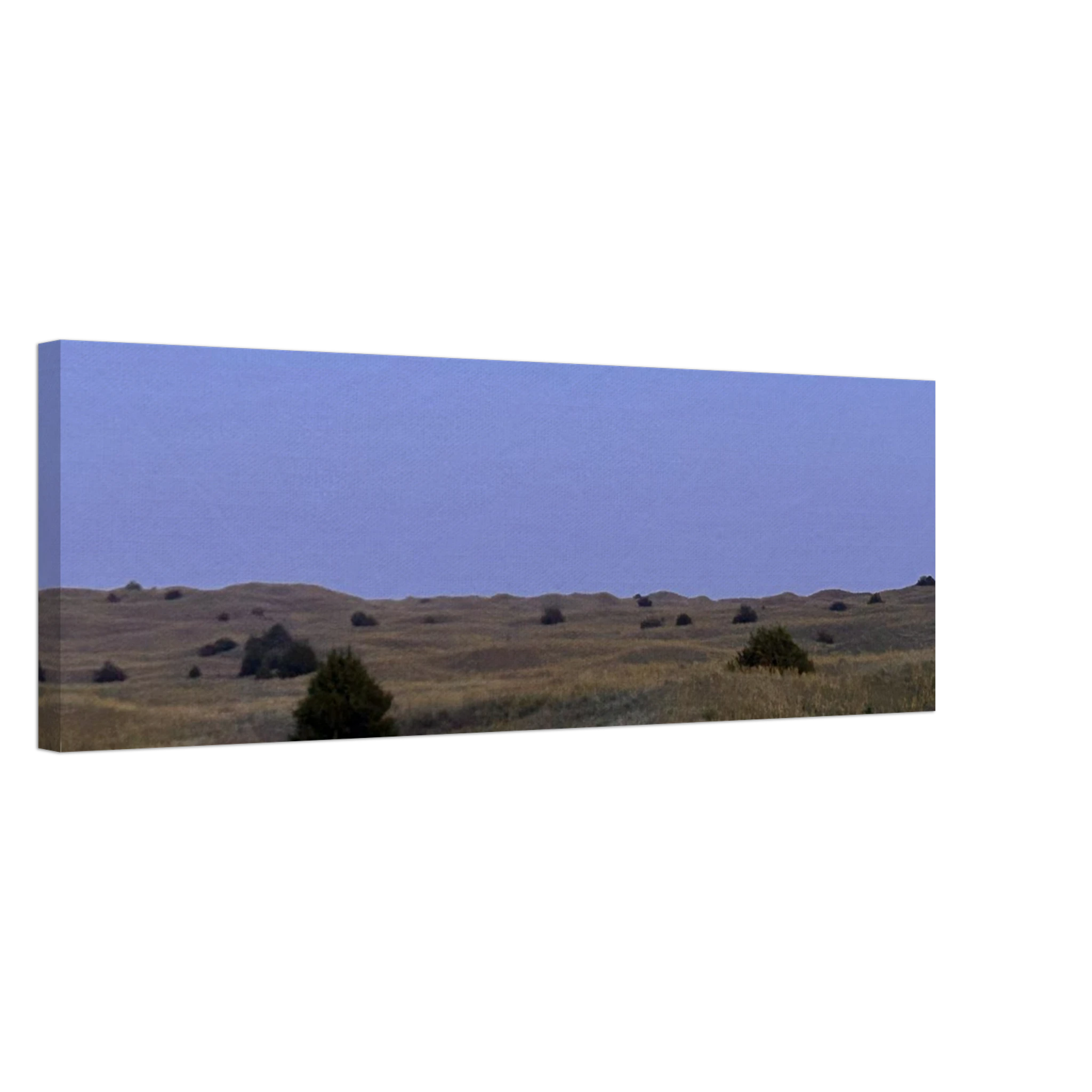 95ecfa4e-ad86-4ca2-b241-b9493bdb68c9