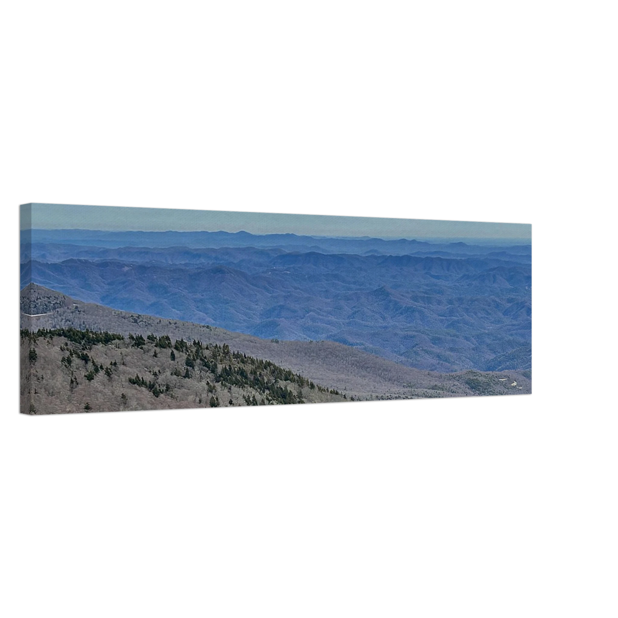 9a004317-ef49-4312-8256-fa725683a8a4