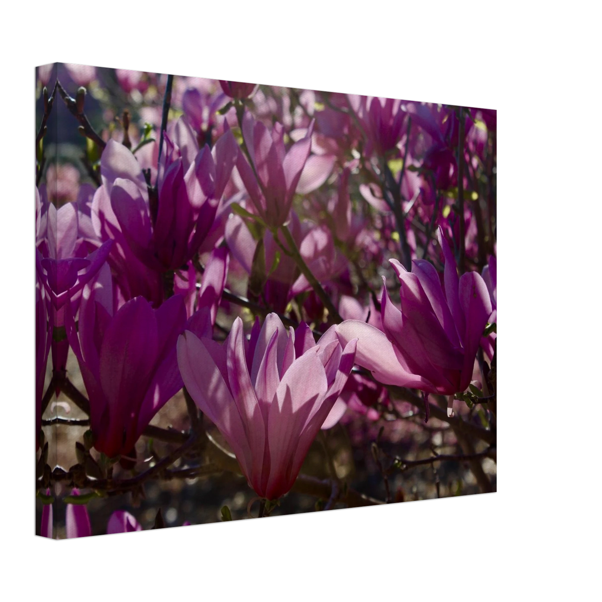 a9bcb9ef-bcbc-4970-a3d1-6e37ab8c4313