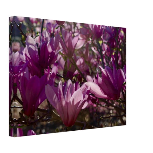 a9bcb9ef-bcbc-4970-a3d1-6e37ab8c4313