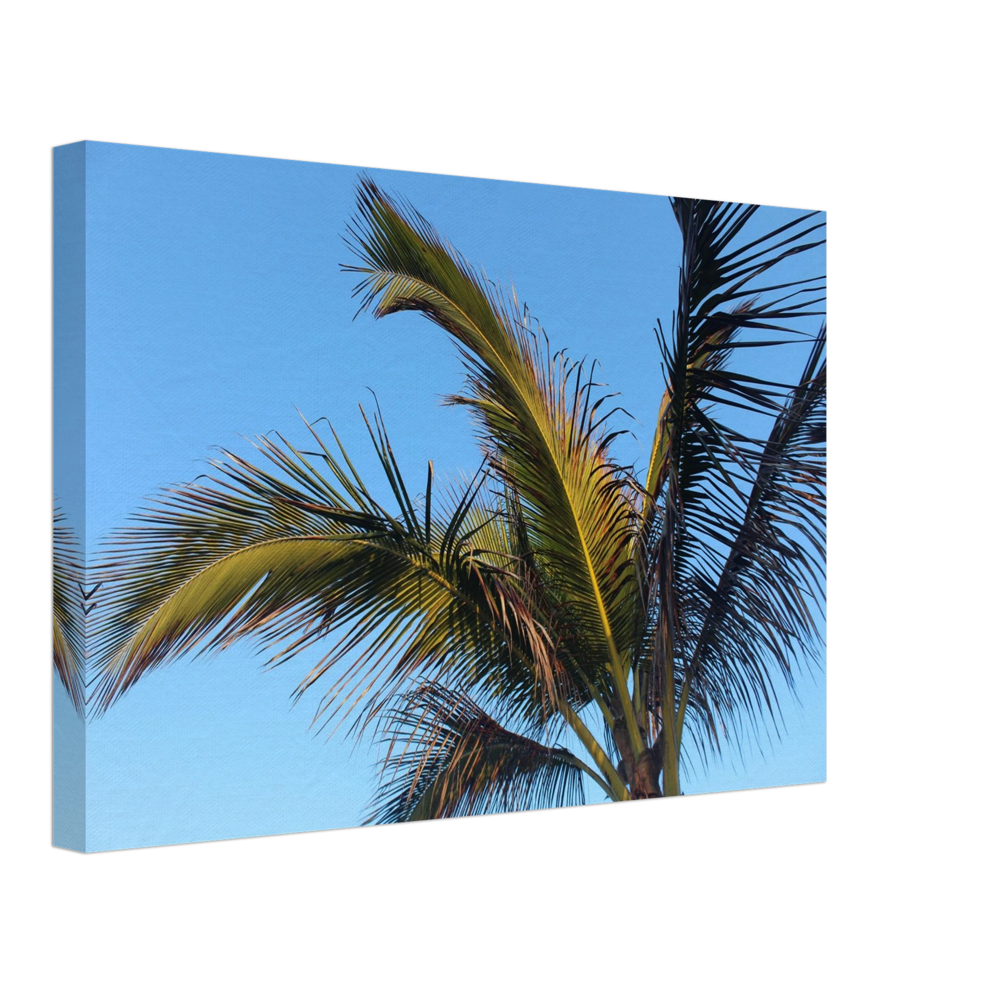c360c980-bb54-40f5-8667-69e7d6e3f2b7