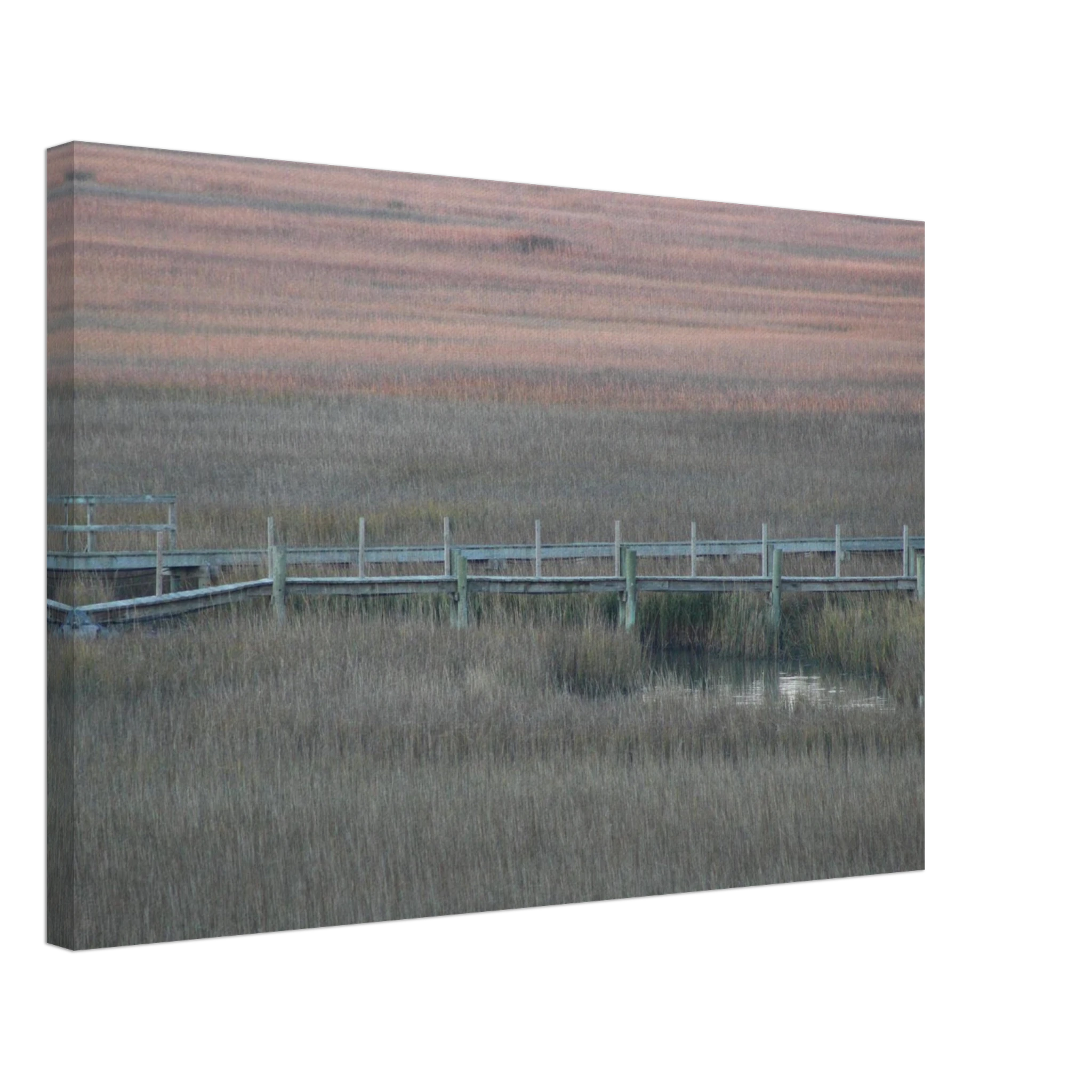 cd43fa11-7904-4394-b0b7-904cf6e90149