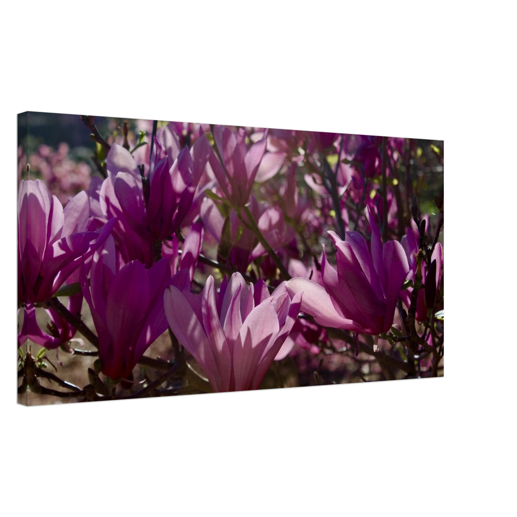 e7a7bbfd-2b50-4b41-9314-0a97a420c078